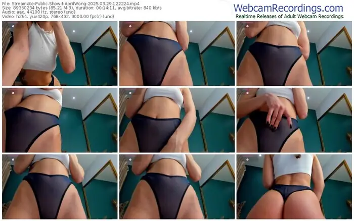 streamate-aprilwong-03-29-2025-12-22-24