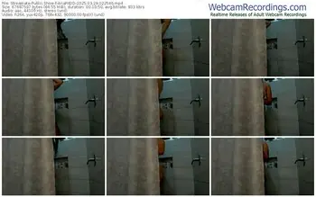 streamate-ariafitdd-03-29-2025-02-25-46