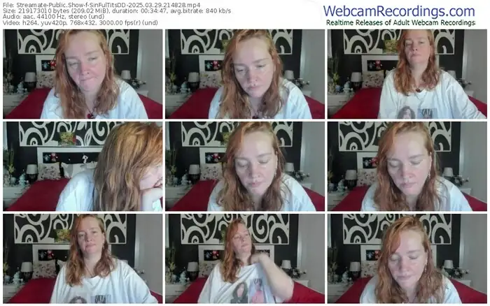 streamate-sinfultitsdd-03-29-2025-21-48-28