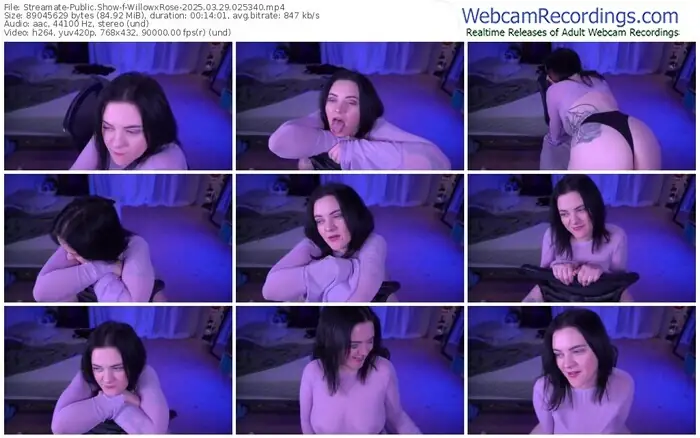 streamate-willowxrose-03-29-2025-02-53-40