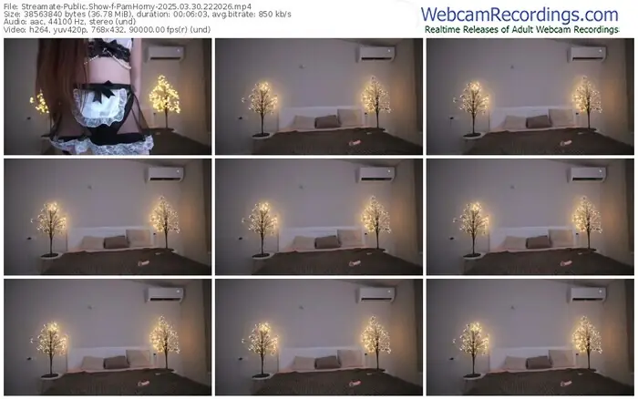 streamate-pamhorny-03-30-2025-22-20-26