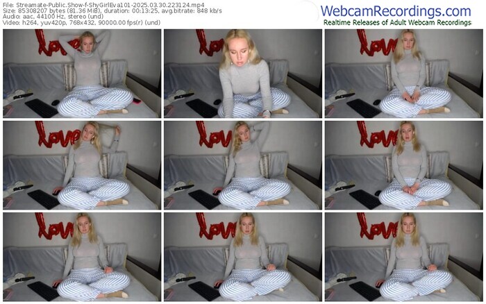 streamate-shygirleva101-03-30-2025-22-31-24