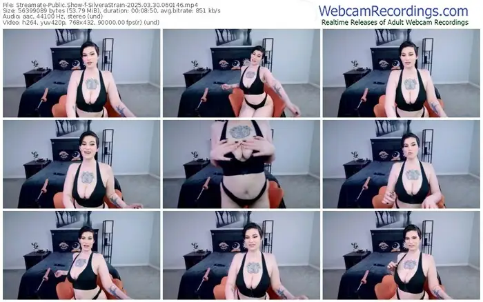 streamate-silverastrain-03-30-2025-06-01-46