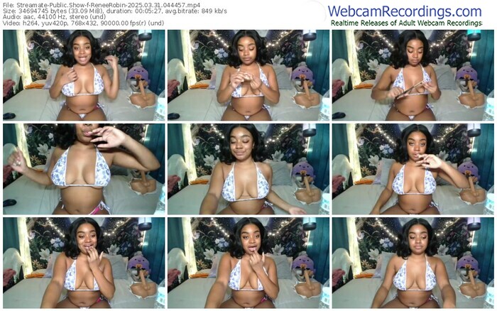 streamate-reneerobin-03-31-2025-04-44-57