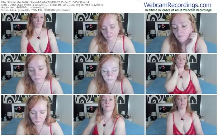 streamate-sinfultitsdd-04-01-2025-06-51-30