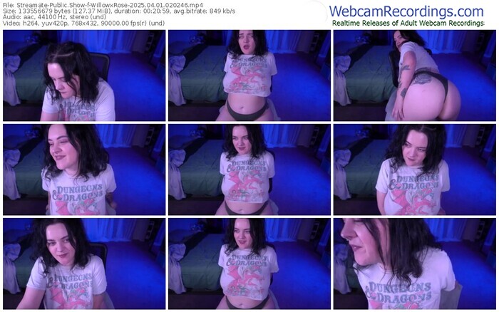 streamate-willowxrose-04-01-2025-02-02-46