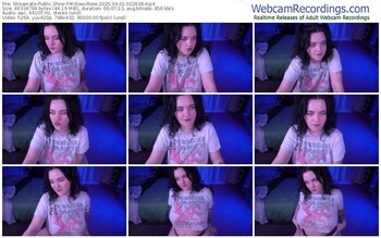 streamate-willowxrose-04-01-2025-02-29-38