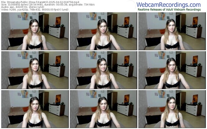 streamate-karawill-04-02-2025-00-47-58