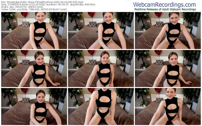 streamate-wealthymuse-04-03-2025-09-16-25