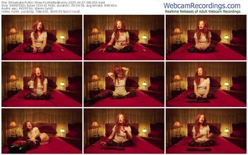 streamate-littleredbunny-04-07-2025-08-19-53
