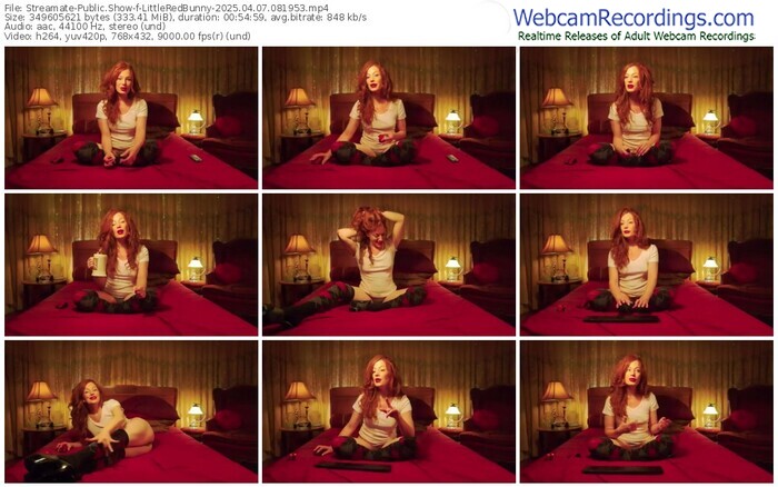 streamate-littleredbunny-04-07-2025-08-19-53