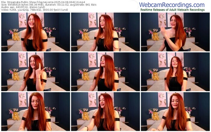 streamate-ilayneliorre-04-08-2025-06-41-16