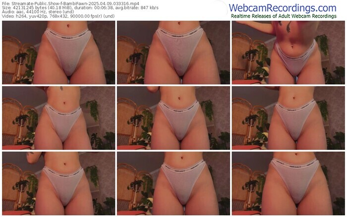 streamate-bambifawn-04-09-2025-03-33-16