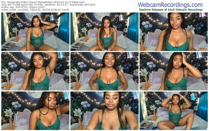 streamate-reneerobin-04-10-2025-21-38-58