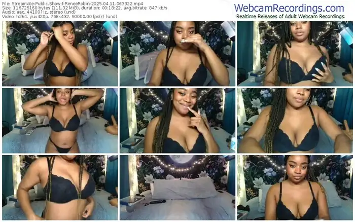 streamate-reneerobin-04-11-2025-06-33-22