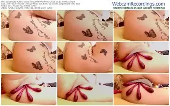 streamate-squirterforyou-04-11-2025-08-46-21