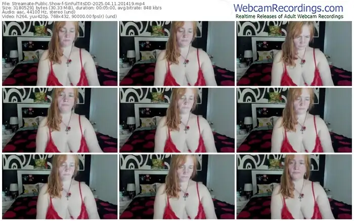 streamate-sinfultitsdd-04-11-2025-20-14-19