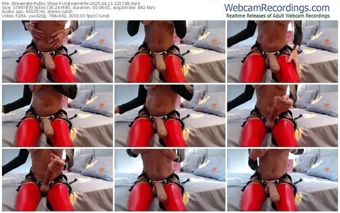 streamate-urdreamwife-04-11-2025-22-17-48