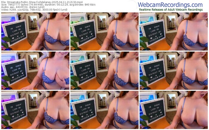 streamate-ohdelaney-04-11-2025-21-21-30