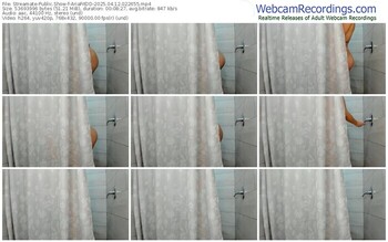 streamate-ariafitdd-04-12-2025-02-26-55