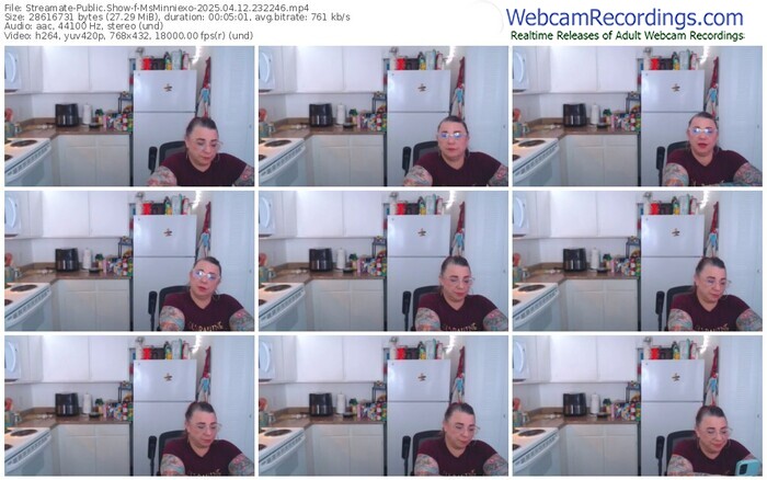 streamate-msminniexo-04-12-2025-23-22-46