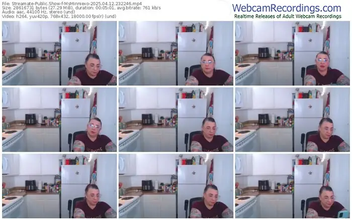 streamate-msminniexo-04-12-2025-23-22-46