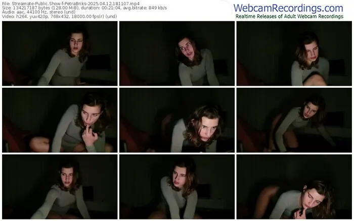 streamate-petrabriks-04-12-2025-18-11-07