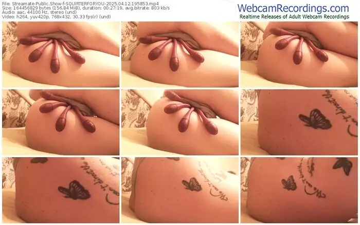 streamate-squirterforyou-04-12-2025-19-58-53