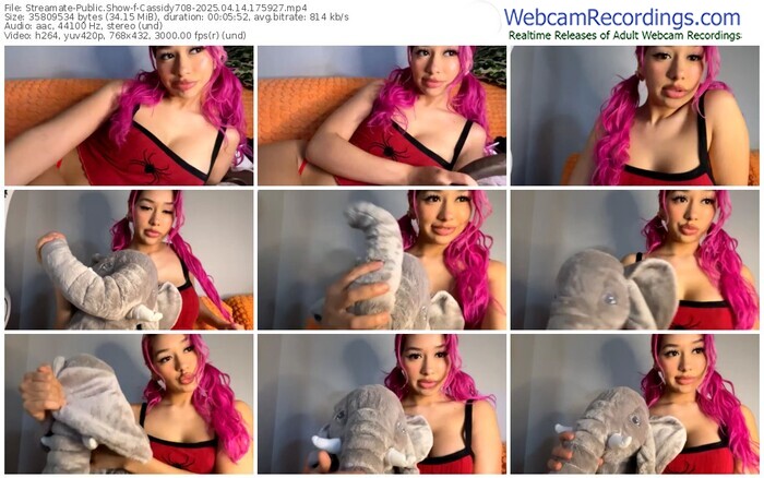 streamate-cassidy708-04-14-2025-17-59-27