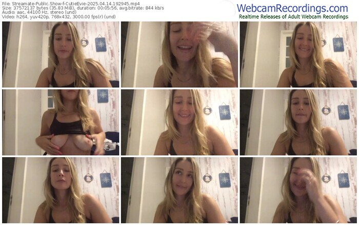 streamate-cutieevie-04-14-2025-19-29-45