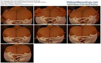 streamate-milfboobsx-04-14-2025-02-49-02