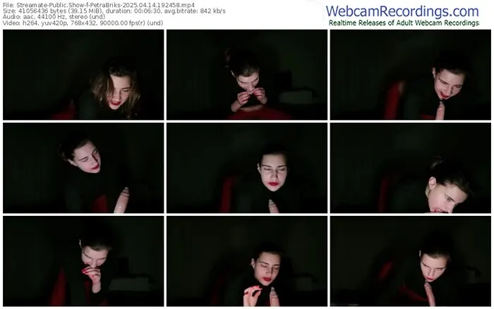 streamate-petrabriks-04-14-2025-19-24-58