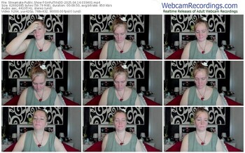 streamate-sinfultitsdd-04-14-2025-03-34-01