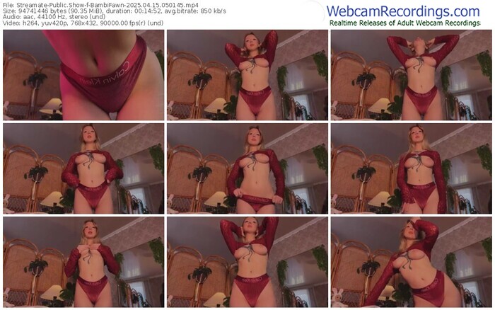 streamate-bambifawn-04-15-2025-05-01-45