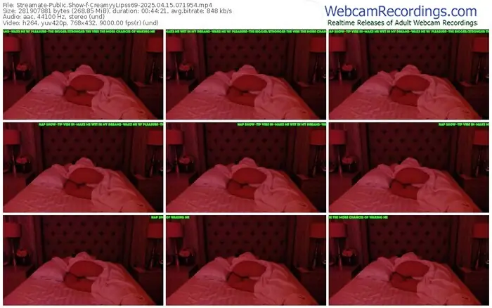 streamate-creamyylipss69-04-15-2025-07-19-54