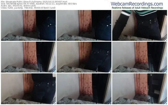 streamate-lilydreamy-04-15-2025-09-34-37