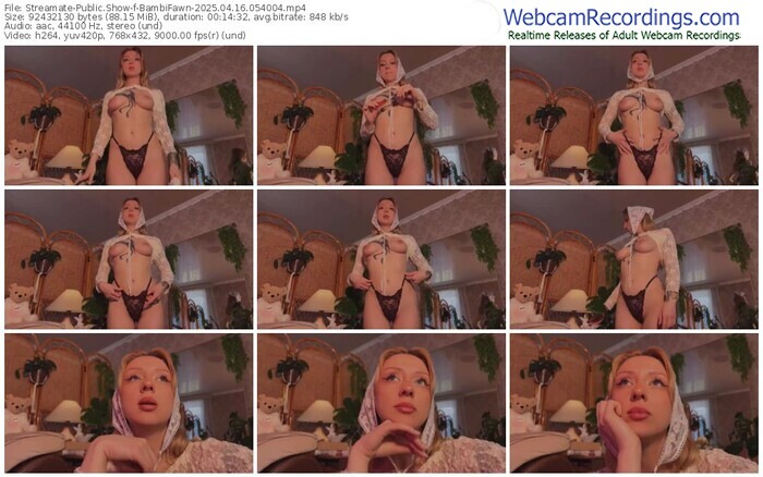 streamate-bambifawn-04-16-2025-05-40-04