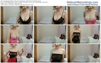 streamate-charliequin-04-16-2025-23-00-36