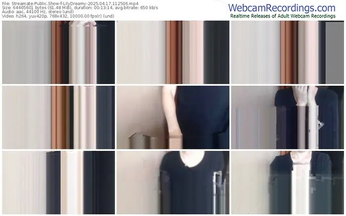 streamate-lilydreamy-04-17-2025-11-25-06