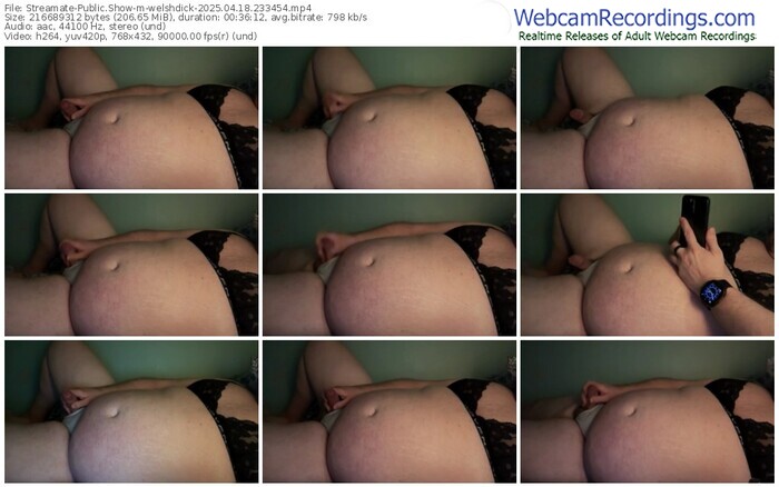 streamate-welshdick-04-18-2025-23-34-54