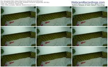 streamate-pamhorny-04-19-2025-01-18-43