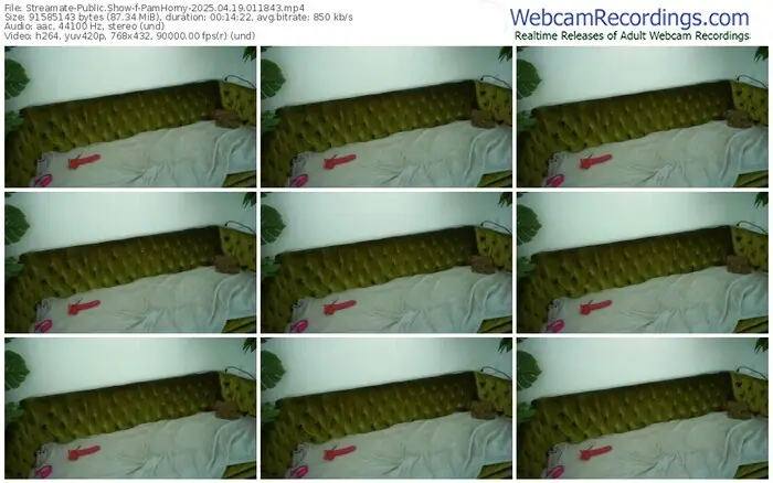 streamate-pamhorny-04-19-2025-01-18-43