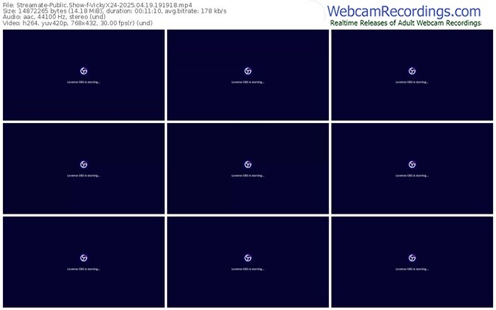 streamate-vickyx24-04-19-2025-19-19-18