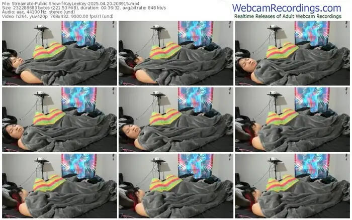 streamate-kayleekey-04-20-2025-20-39-15