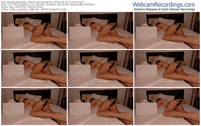 streamate-kimshinexxxx-04-21-2025-21-31-53