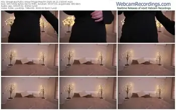 streamate-magicpeachh-04-21-2025-15-00-47