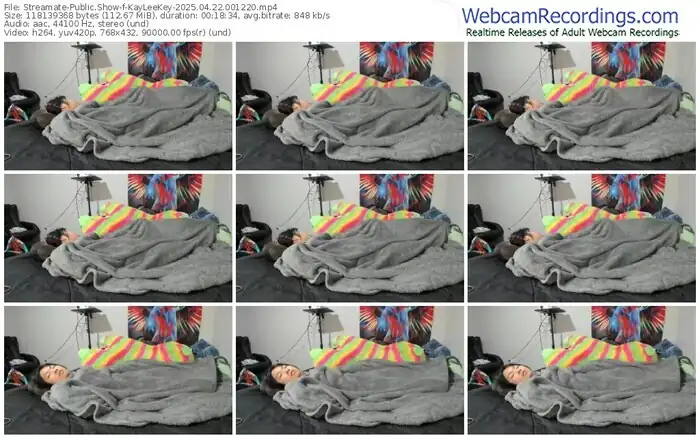 streamate-kayleekey-04-22-2025-00-12-20