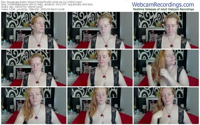 streamate-sinfultitsdd-04-22-2025-13-25-57