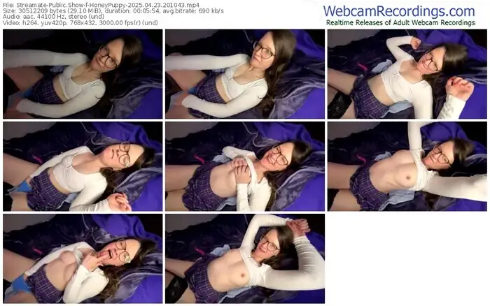 streamate-honeypuppy-04-23-2025-20-10-43