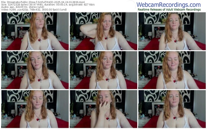 streamate-sinfultitsdd-04-24-2025-01-28-36